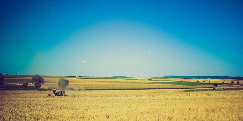 二次元机甲进化论：从《高达》到《DARLING in the FRANXX》，在日向网探索机器人美学的演变