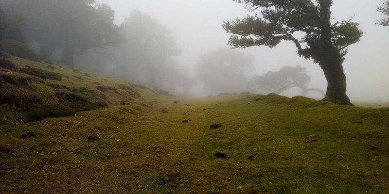 从《你的名字。》到《孤独摇滚！》：动漫圣地巡礼如何引爆地方经济与同人创作热潮