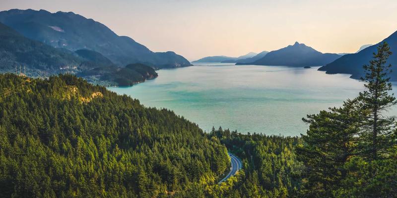 从动漫资讯到同人创作：日本动漫产业如何重塑全球文化版图