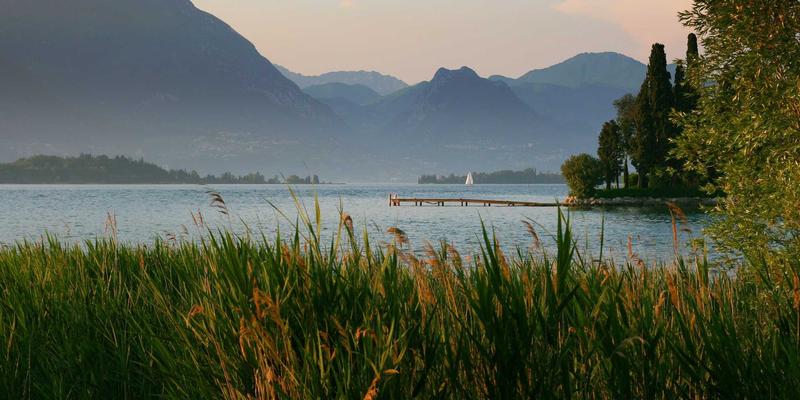 从动漫资讯看东西方差异：深度解析欧美动漫迷与日本御宅文化的核心区别
