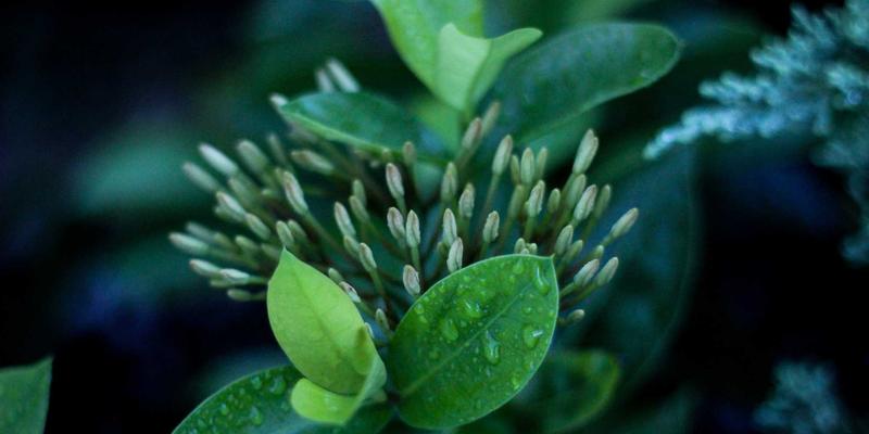 从同人创作到文化浪潮:深度解析动漫文化的多维生态