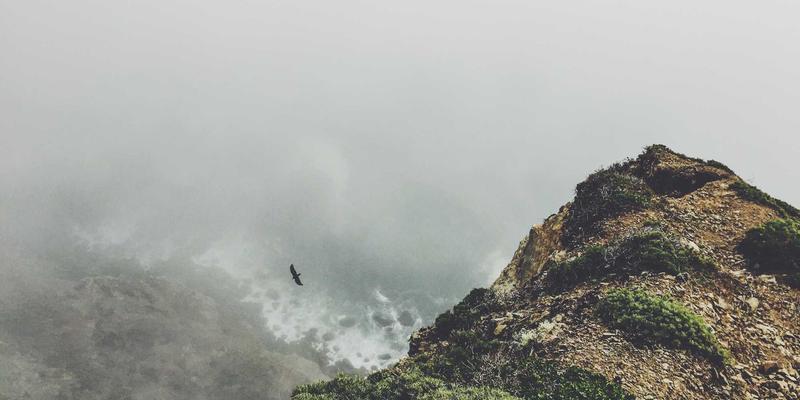 从战斗到自省：动漫中的女性主义表达演变——《美少女战士》到《葬送的芙莉莲》