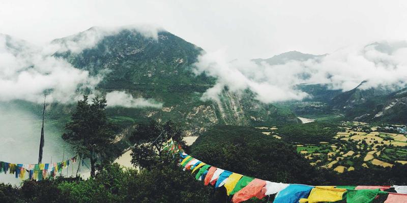 动漫16：同人创作如何通过日向网构建繁荣社区生态