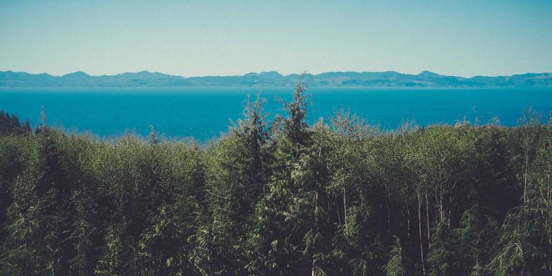 动漫17：二次元新纪元，同人创作与动漫资讯的深度碰撞