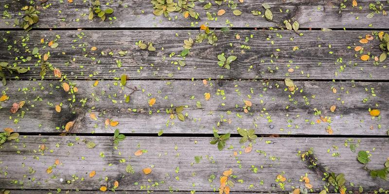 动漫24：探索二次元文化的无限魅力与深度影响