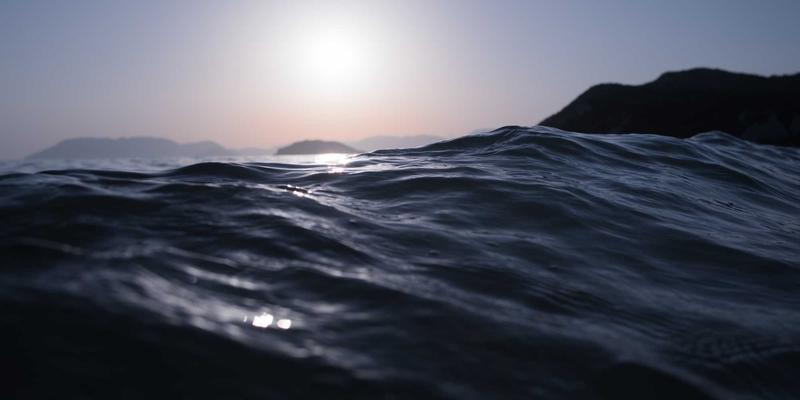 动漫25:从日向网看动漫资讯的演变与未来趋势