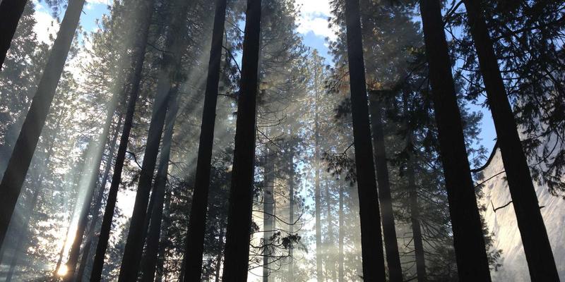 动漫27：解码当代动漫文化的多维景观与资讯生态