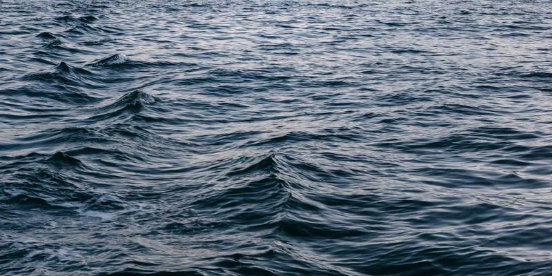 动漫83:从同人创作到资讯生态,探索动漫文化的多元宇宙