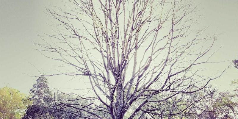 动漫分镜艺术：动态叙事的视觉语法解析与同人创作指南