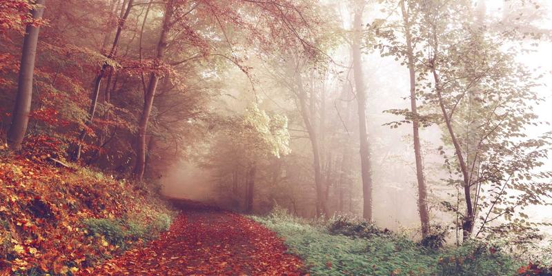 动漫文化中的幕后灵魂：声优产业生态、偶像化趋势与角色塑造的艺术