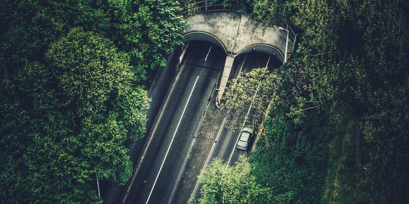 动漫文化中的异世界转生：从社区现象看现代人的逃避与理想投射