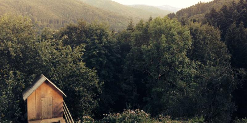 探索动漫52：从二次元文化到现代生活的深远影响