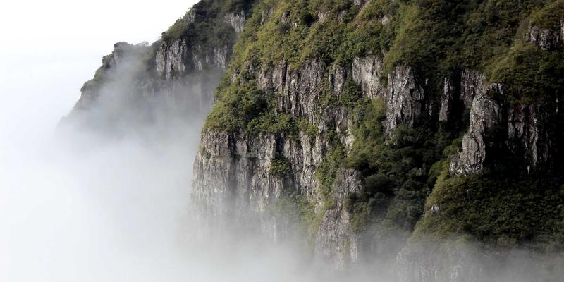 日向网:二次元爱好者的专属资讯殿堂,探索动漫46的无限魅力