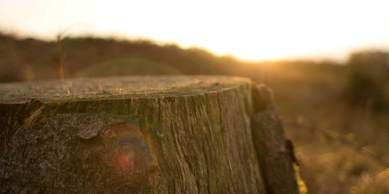 日向网观察：3DCG技术如何重塑二次元动漫制作与同人创作生态