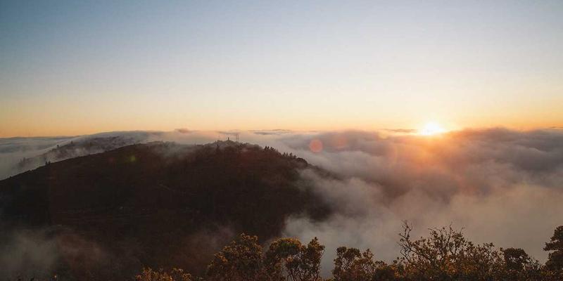 治愈系动漫如何成为现代人的精神减压阀？日向网带你探索动漫资讯与同人创作背后的疗愈力量