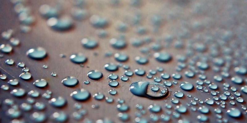 社区的力量：动漫文化如何重塑现代社交与创意生态